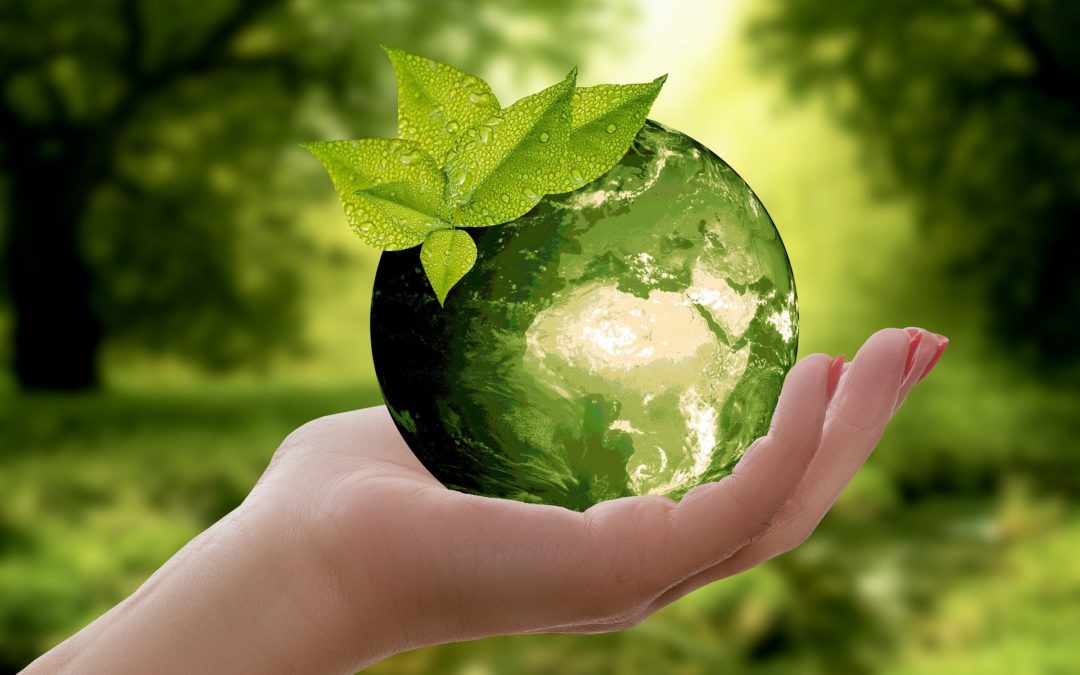 Umwelt und Nachhaltigkeit